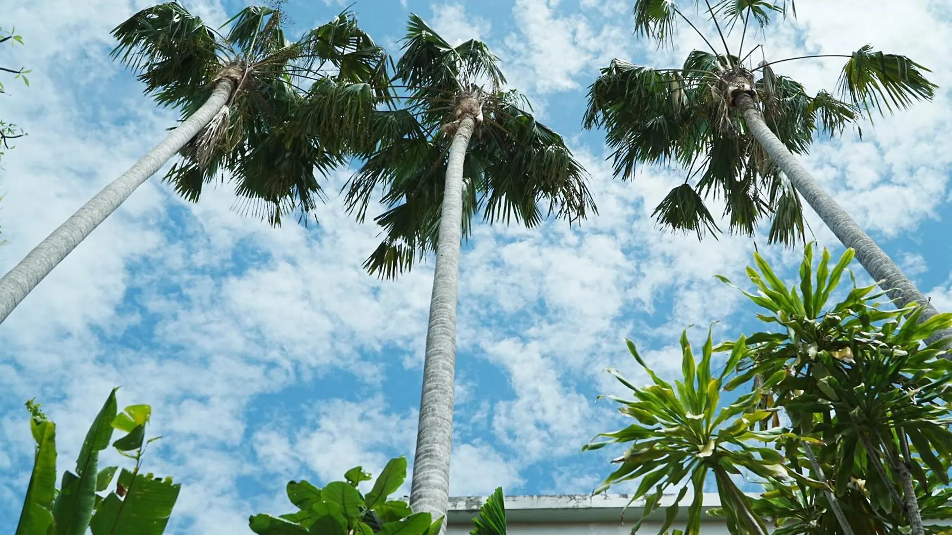 Forena Seminyak Indonésie