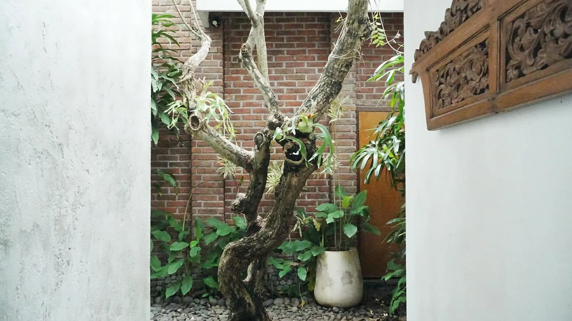 Villa Forena Seminyak Indonésie