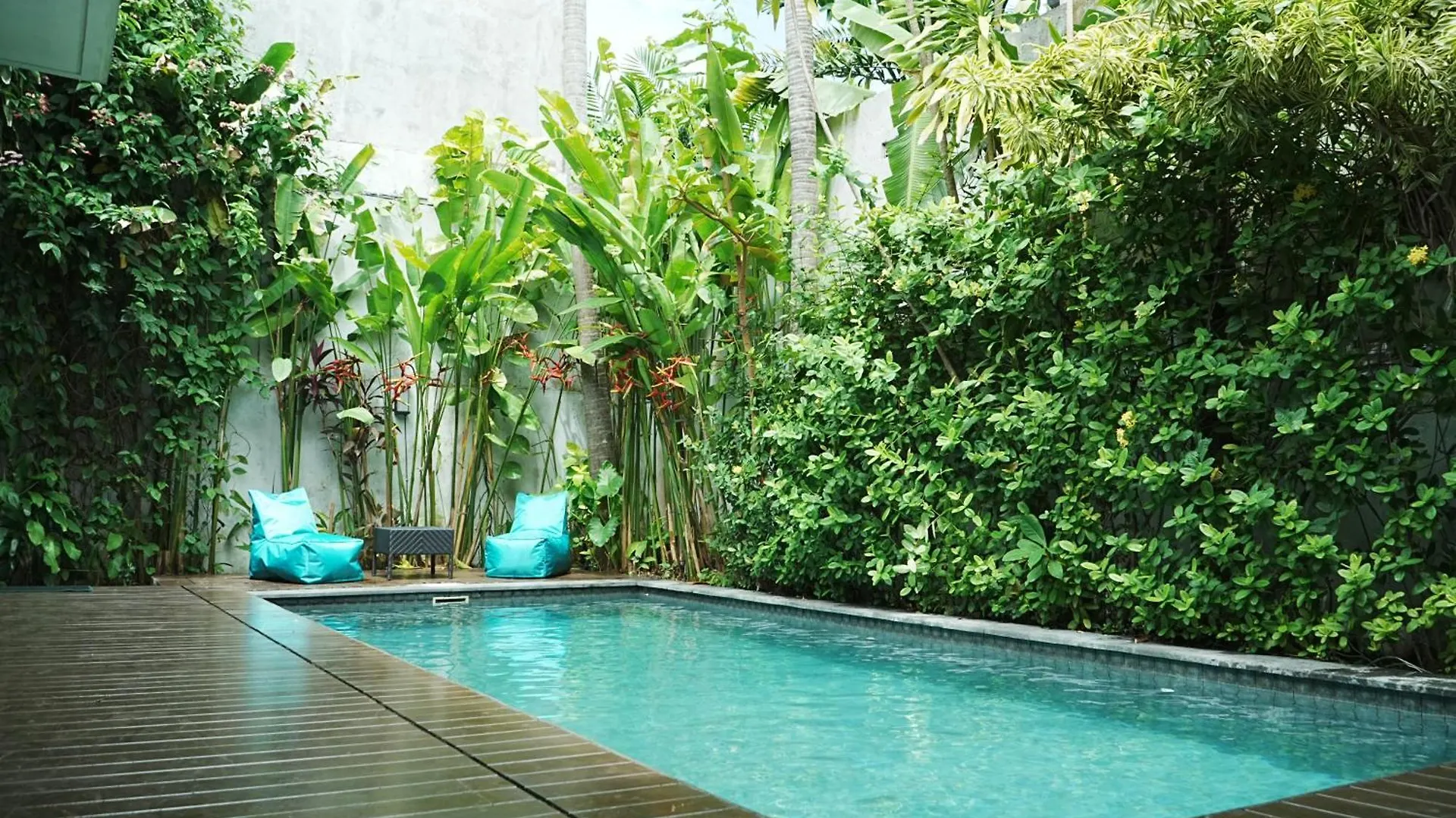 Forena Seminyak Indonésie