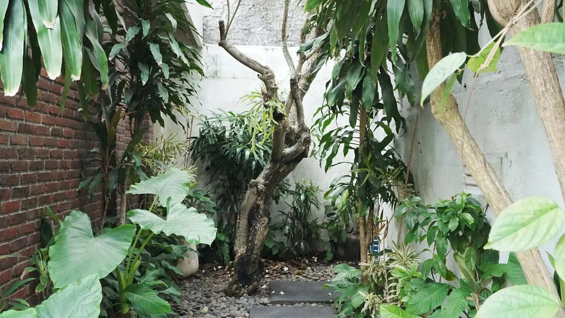 Forena Seminyak Seminyak (Bali)